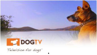 讯狗视频在线观看,讯狗视频带你在线观影新体验  第3张